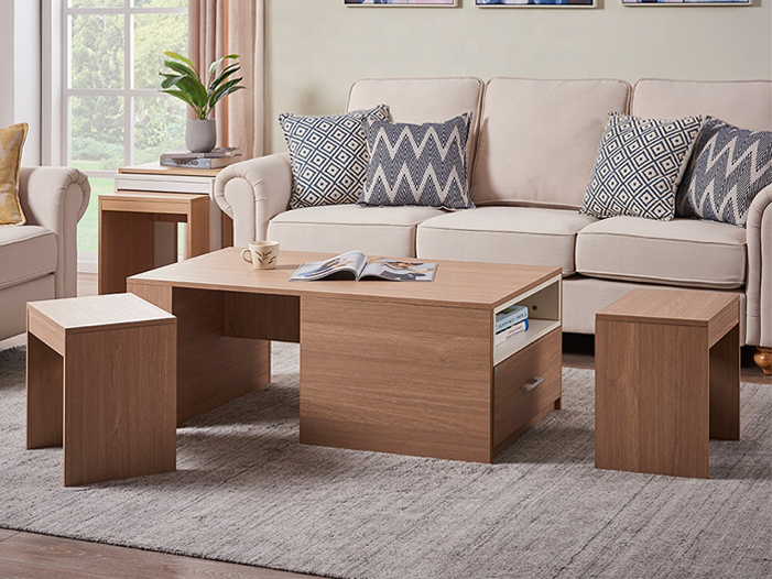 Modern Coffee Table With shelf and Drawer